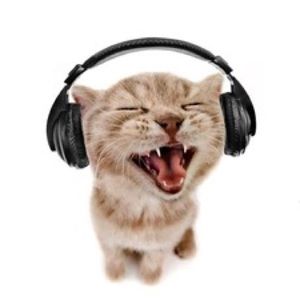 Meet your Posher, Camila